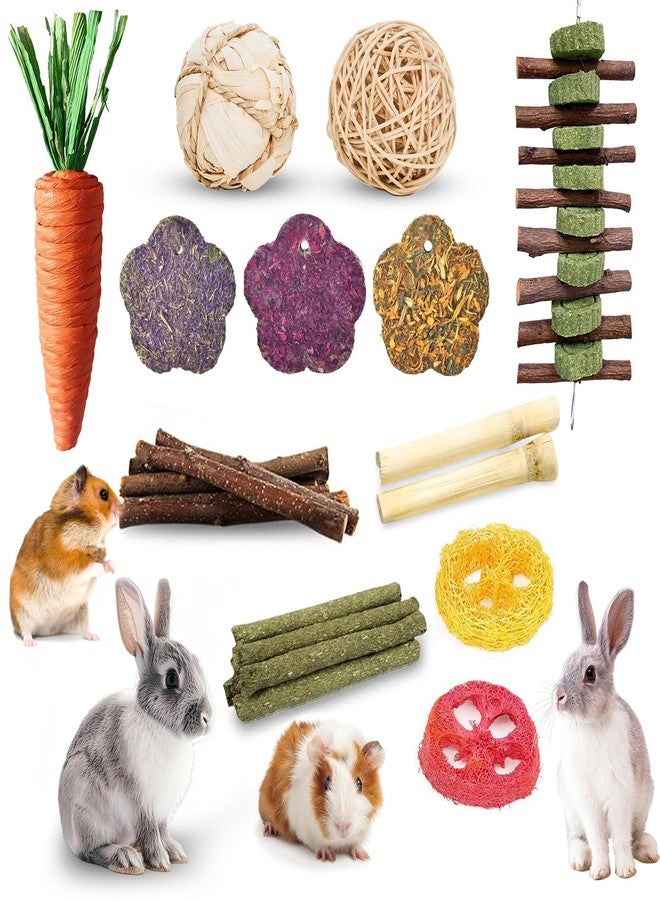 WDEFUN 21-Piece Natural Small Pet Chew Toys Set for Rabbits, Hamsters & Organic Grass Mat, Hay Sticks, Loofah Slices, Wooden Chews & More for Dental Health & Boredom Relief - Image 1